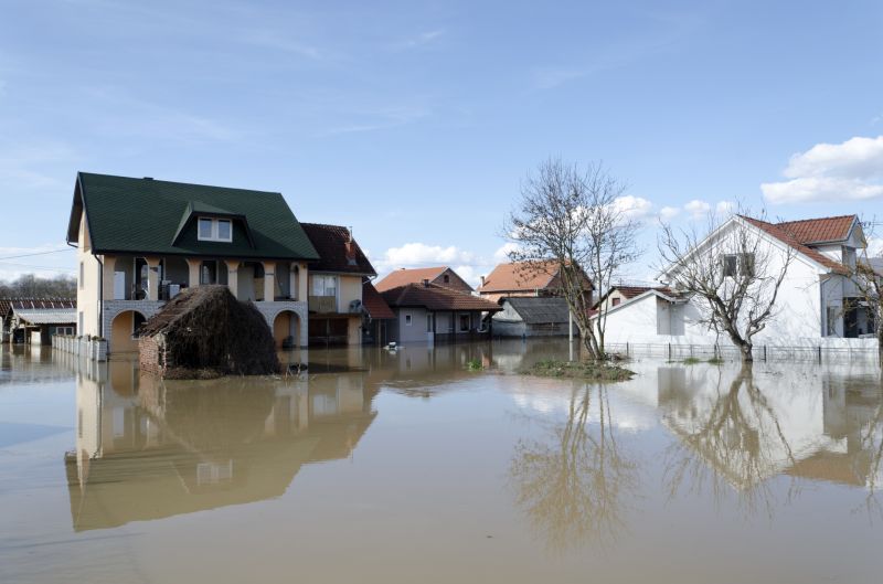 Flooded Basement Cleanup detail